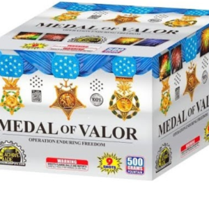Medal of Valor