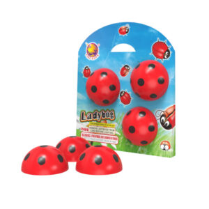 Ladybug